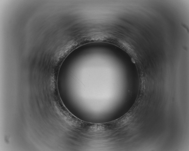 X0000100880354200806271143