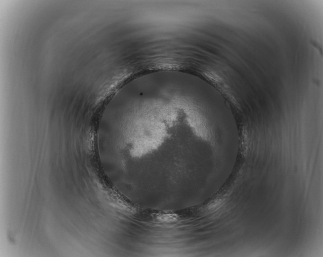 X0000100880355200806271143