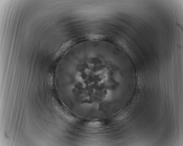 X0000100880357200806271143