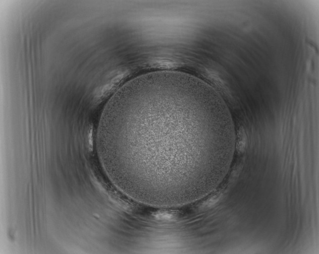 X0000100880358200806271143