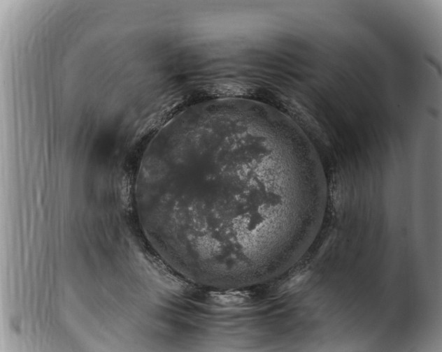 X0000100880359200806271143