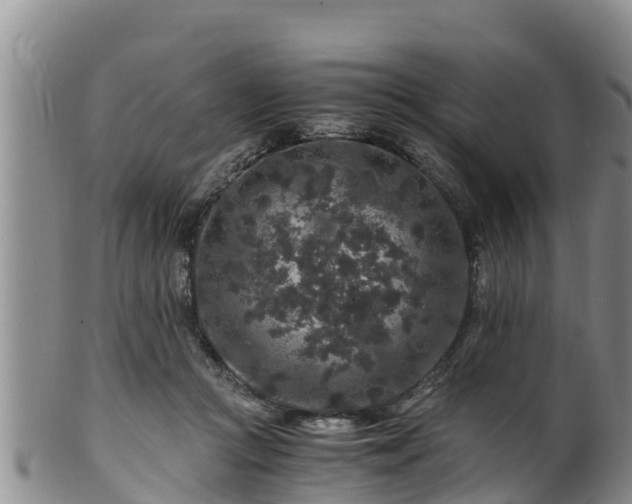 X0000100880361200806271143