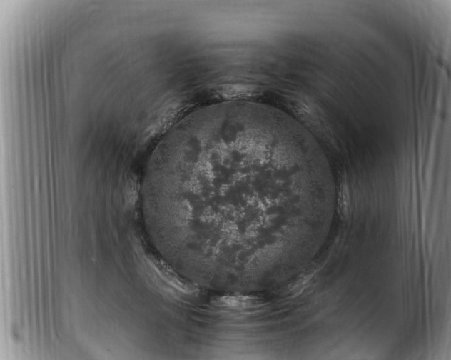 X0000100880367200806271143