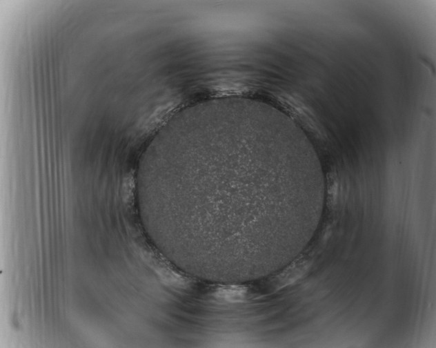 X0000100880369200806271143