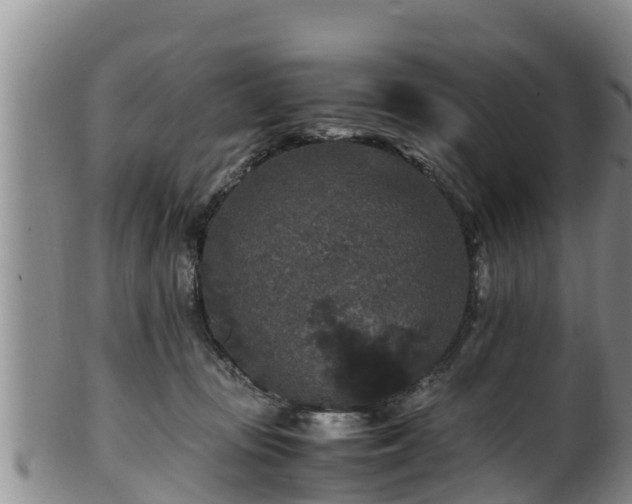 X0000100880371200806271143