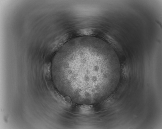 X0000100880373200806271143