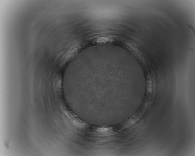 X0000100880375200806271143