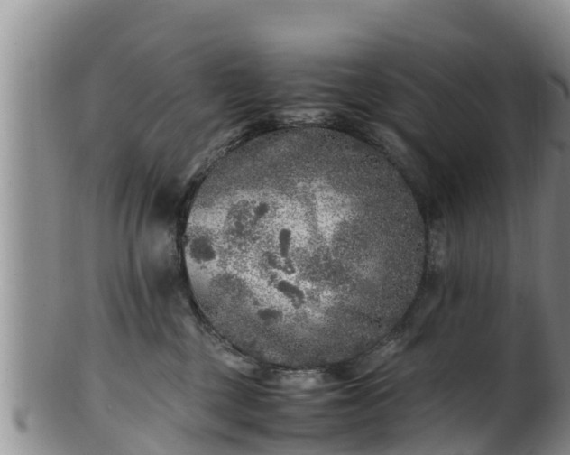 X0000100880377200806271143