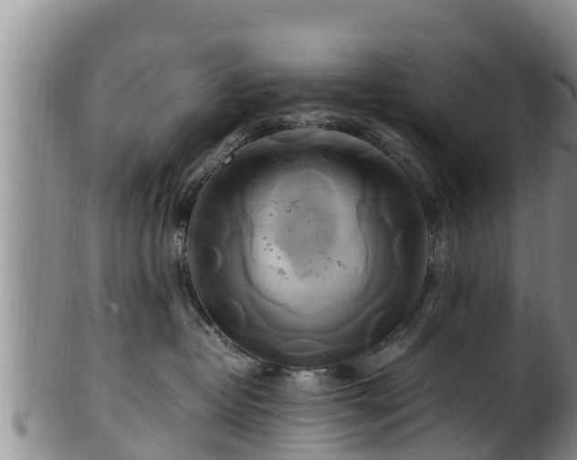 X0000100880382200806271143