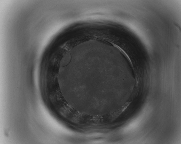 X0000100880383200806271143