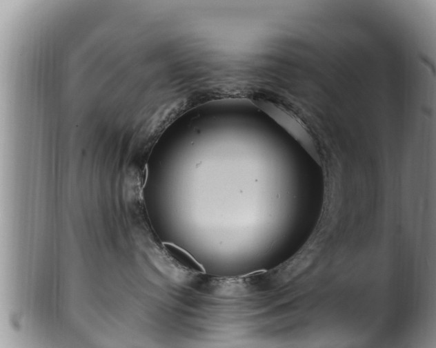 X0000100880384200806271143