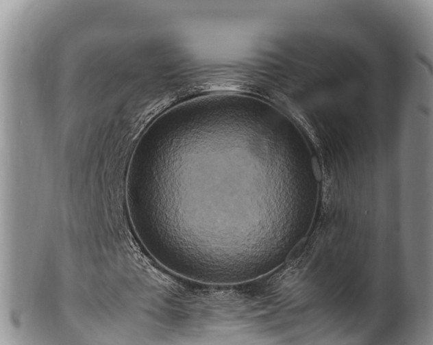 X0000100880385200806271143