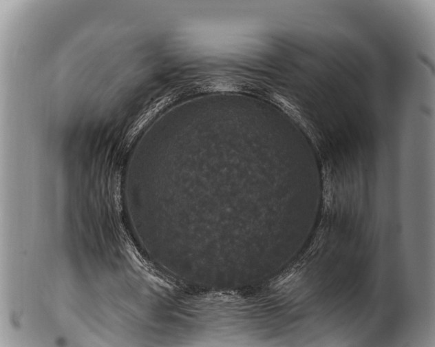 X0000100880386200806271143