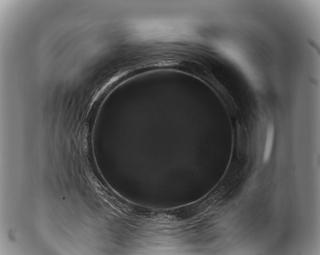 X0000100880387200806271143