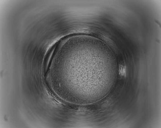 X0000100880388200806271143