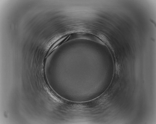 X0000100880389200806271143