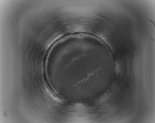 X0000100880390200806271143