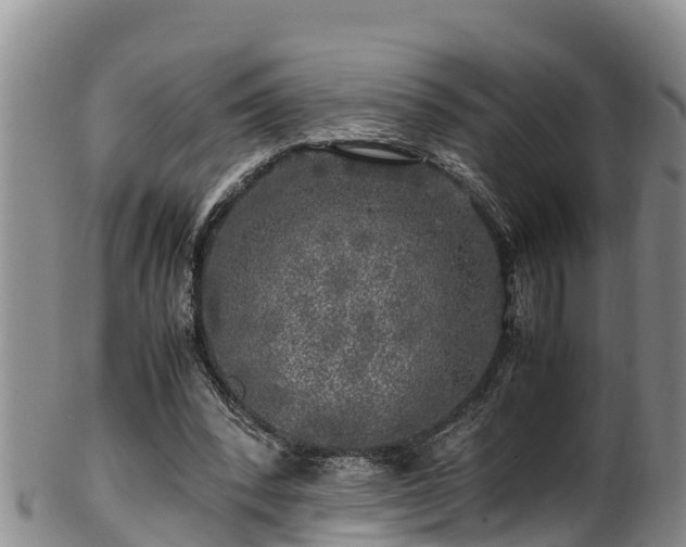 X0000100880392200806271143