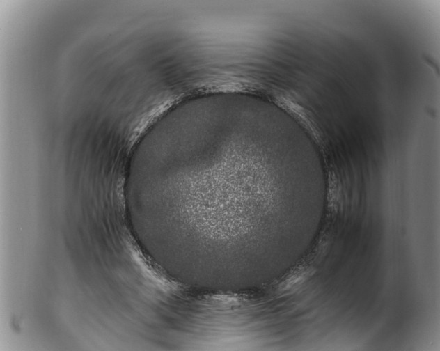 X0000100880394200806271143