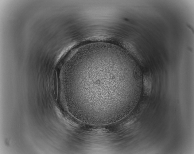 X0000100880396200806271143