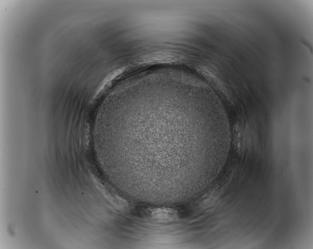 X0000100880400200806271143