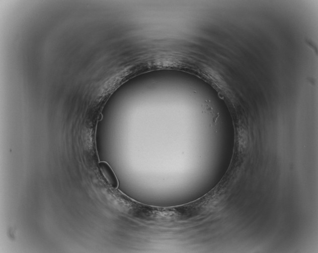 X0000100880401200806271143