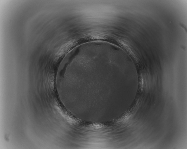 X0000100880402200806271143