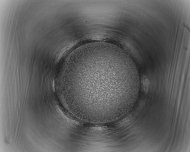 X0000100880404200806271142