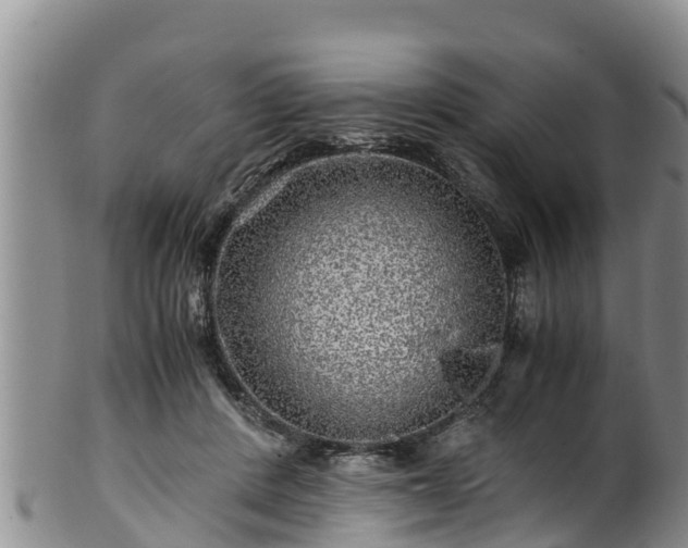 X0000100880408200806271142