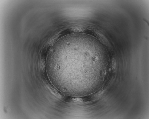 X0000100880409200806271142