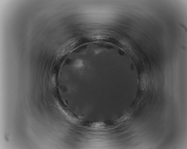 X0000100880410200806271142