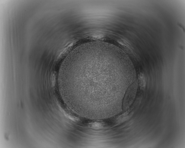 X0000100880412200806271142