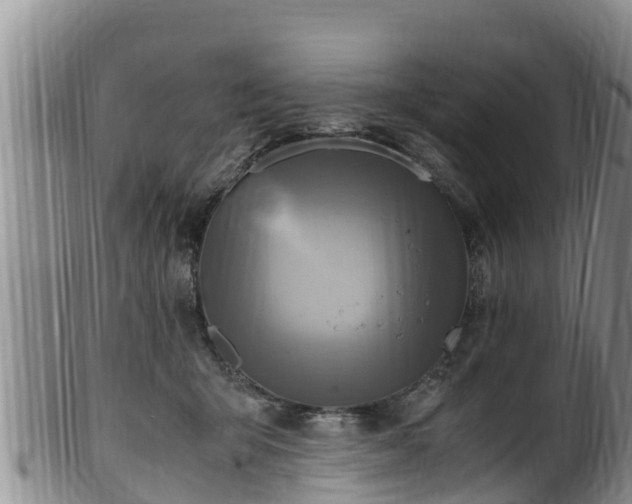 X0000100880415200806271142