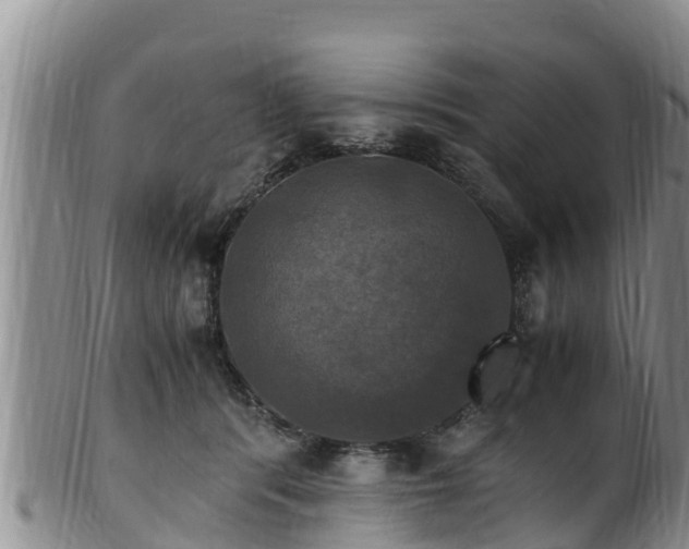 X0000100880416200806271142