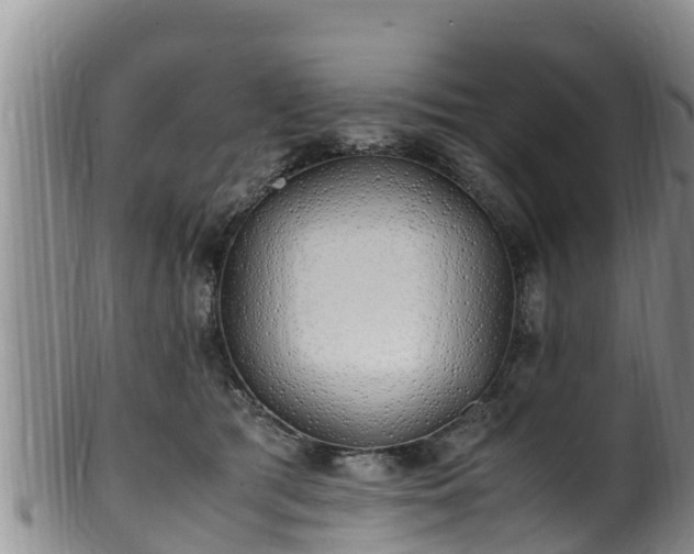 X0000100880417200806271142