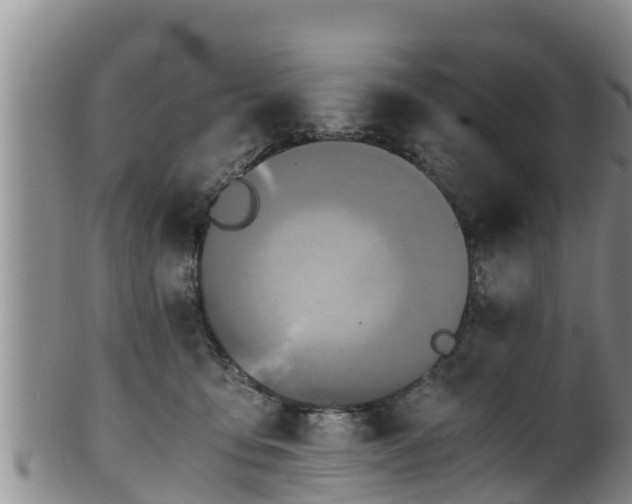 X0000100880419200806271142