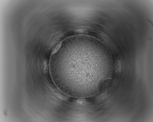 X0000100880420200806271142