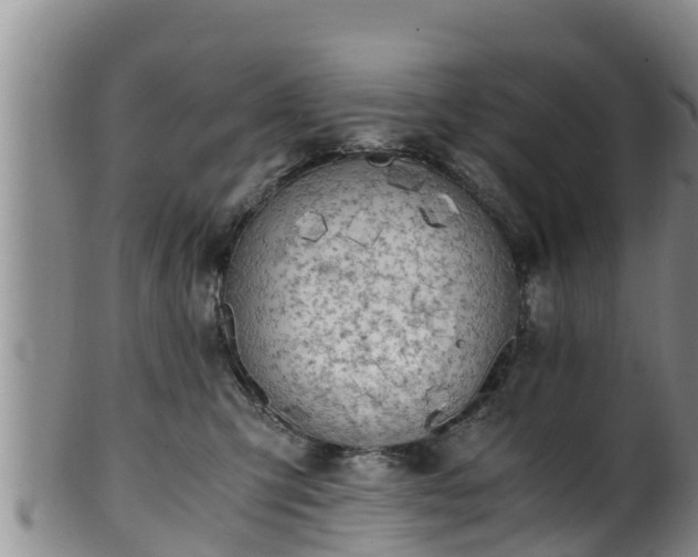 X0000100880423200806271142