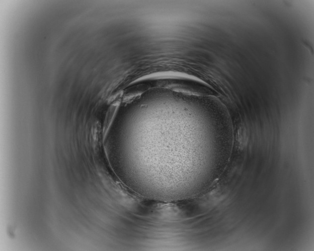 X0000100880424200806271142