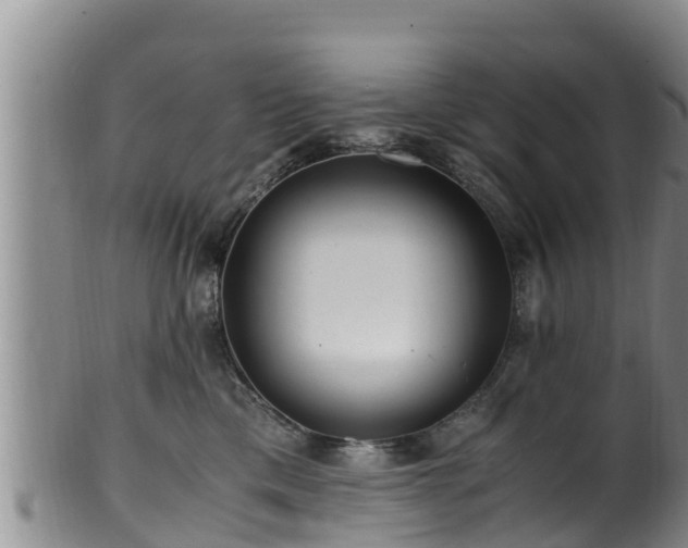 X0000100880425200806271142