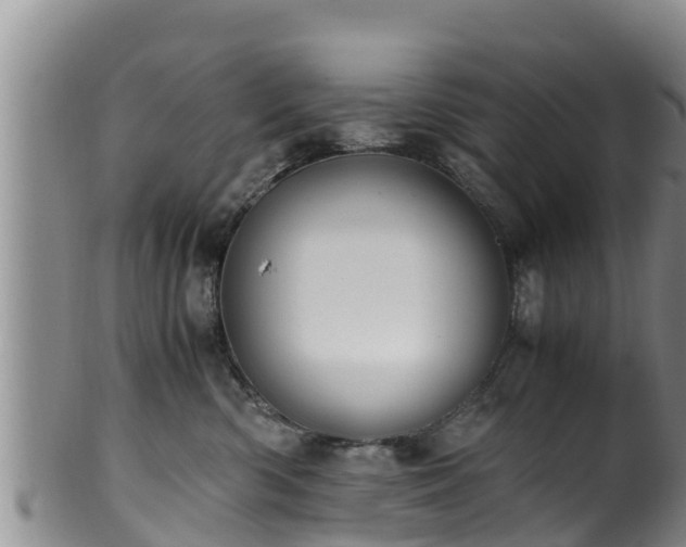 X0000100880426200806271142