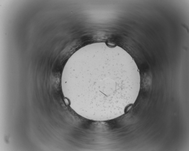 X0000100880427200806271142