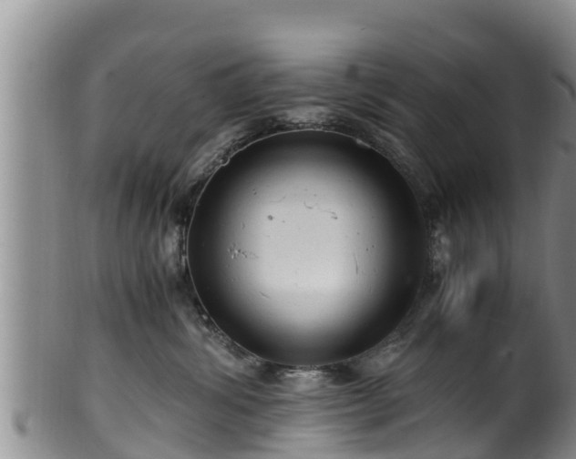 X0000100880428200806271142