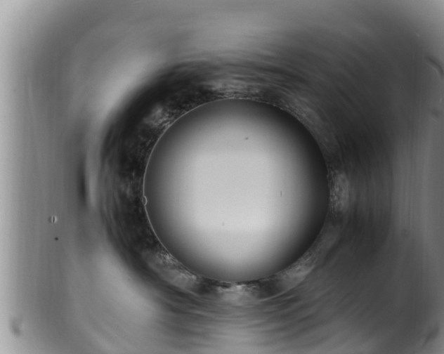 X0000100880430200806271142