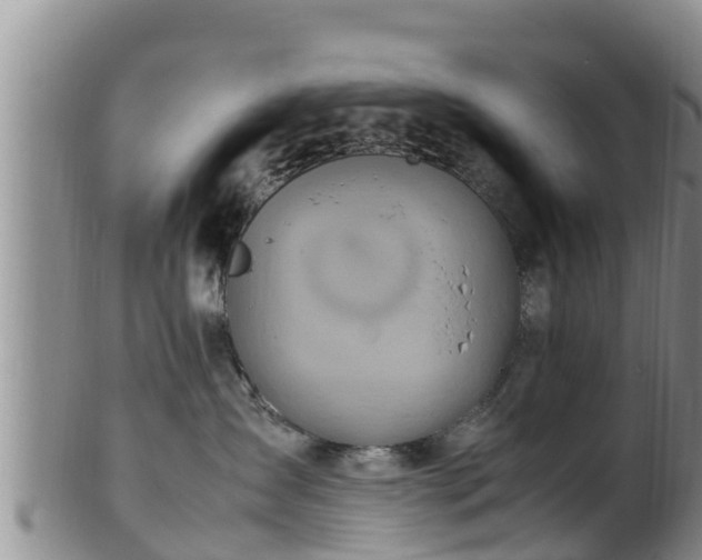 X0000100880431200806271142