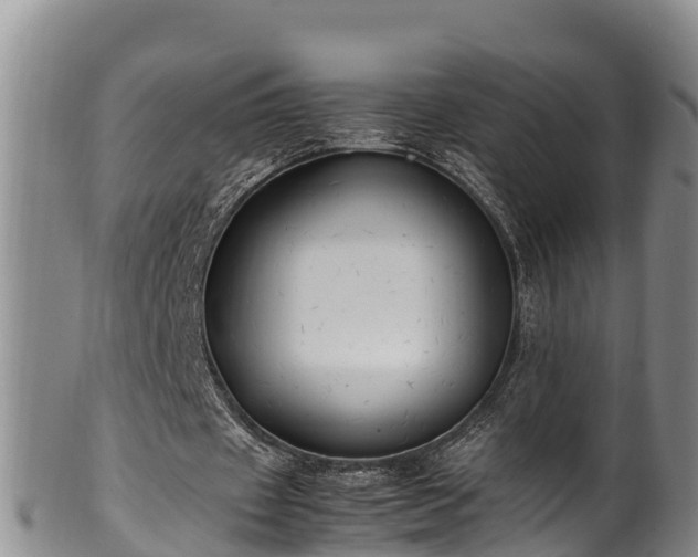 X0000100880433200806271141