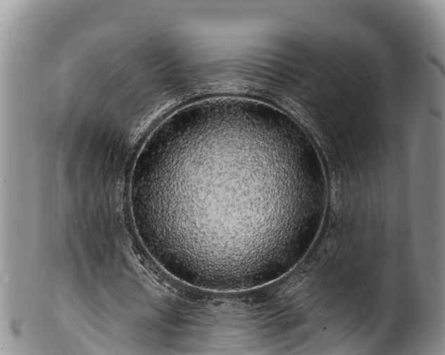 X0000100880434200806271141