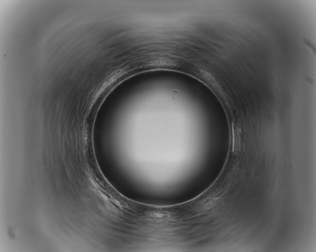 X0000100880435200806271141