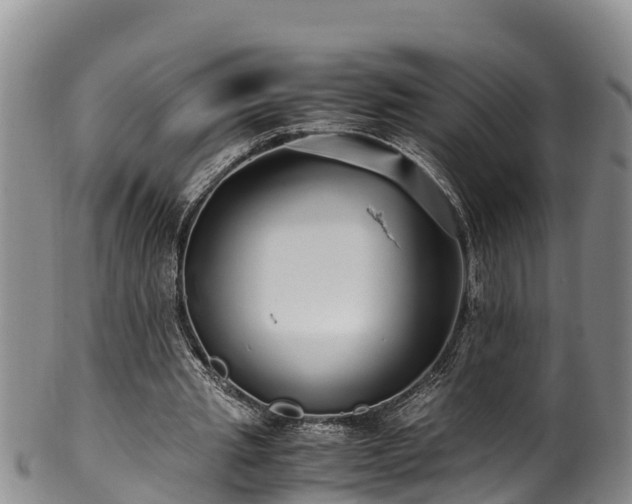 X0000100880437200806271141