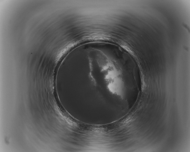 X0000100880438200806271141